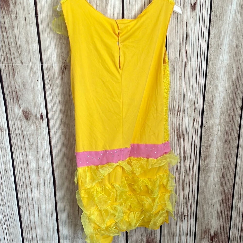 *Adult Women’s Big Bird Inspired Flapper Style Pink and Yellow Costume Dress - Picture 5 of 6